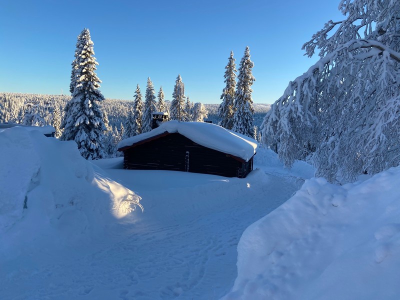 En bild på stuga F91, Hjortronvägen 12 B